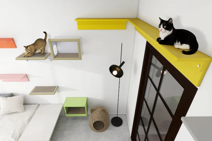 キャットウォークの幅はどう決める？愛猫が快適に過ごせる設置ガイド 