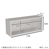 ラック 壁掛け収納
