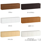 ウォールシェルフ 扉付き