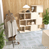 ディスプレイラック | whitewood BIGalto3