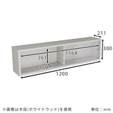 シェルフ 壁掛け収納