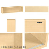 シェルフ 壁掛け収納
