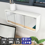 ウォールシェルフ ミラーキャビネット 鏡扉 | WallBox7-DXミラー E-M nail