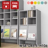 収納棚 キャビネット 扉付き収納 ラック