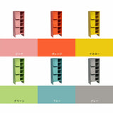 収納棚 ラック 扉付き収納 キャビネット