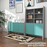 ディスプレイ棚 収納家具