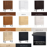 キャビネット 扉付き収納