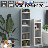 スリムウォールシェルフ 壁掛けラック