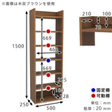 壁掛けラック ウォールラック