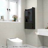 スリムシェルフ ウォールシェルフ