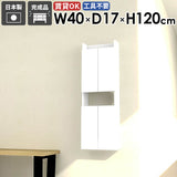 ウォールラック 壁掛けシェルフ