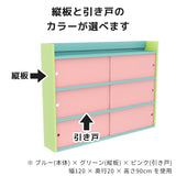 ウォールシェルフ 扉付き