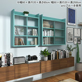 壁掛け棚 賃貸 | Mirai ウォールキャビL アクリル戸 602580 木目