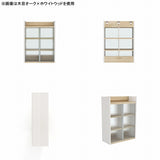 壁掛け棚 賃貸 | Mirai ウォールキャビL アクリル戸 602580 木目