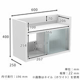 ウォールシェルフ ウォールキャビネット | Mirai ウォールキャビL アクリル戸 602540 BP