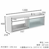壁掛け棚 賃貸 | Mirai ウォールキャビL アクリル戸 1202540 black