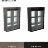 ウォールシェルフ 壁掛け棚 | Mirai ウォールキャビL アクリル戸 602580 天然木突板 タモグレー