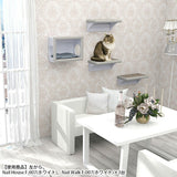 キャットウォーク キャットステップ