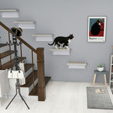 キャットウォーク キャットステップ