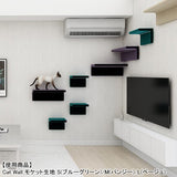 キャットウォーク キャットウォール