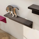 キャットウォーク キャットウォール