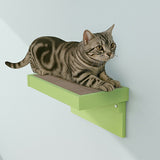 キャットウォーク 賃貸