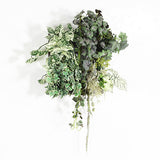 アートパネル 光触媒 観葉植物 | Botanical a.class 02