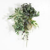 アートパネル 光触媒 観葉植物 | Botanical a.class 02