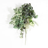 アートパネル 光触媒 観葉植物 | Botanical a.class 02