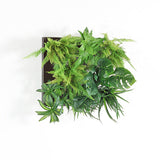 観葉植物 フェイク | Botanical a.class 07