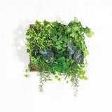 人工観葉植物 ウォールグリーン | Botanical a.class 09