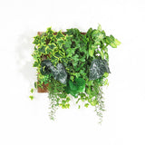 人工観葉植物 ウォールグリーン | Botanical a.class 09