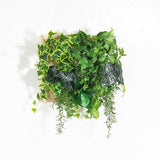 人工観葉植物 ウォールグリーン | Botanical a.class 09