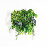 人工観葉植物 ウォールグリーン | Botanical a.class 09