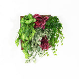 光触媒 人工観葉植物 | Botanical a.class 16