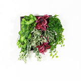 光触媒 人工観葉植物 | Botanical a.class 16