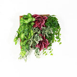 光触媒 人工観葉植物 | Botanical a.class 16