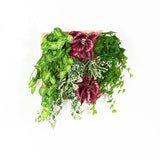 光触媒 人工観葉植物 | Botanical a.class 16