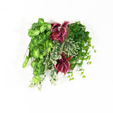 光触媒 人工観葉植物 | Botanical a.class 16