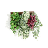 壁掛け アートパネル | Botanical c.class 04