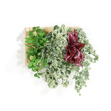 壁掛け アートパネル | Botanical c.class 04