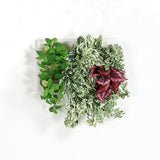 壁掛け アートパネル | Botanical c.class 04