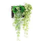 人工観葉植物 ウォールグリーン | Botanical c.class 05