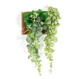 人工観葉植物 ウォールグリーン | Botanical c.class 05