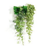 人工観葉植物 ウォールグリーン | Botanical c.class 05