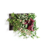 アートパネル 光触媒 観葉植物 | Botanical c.class 06