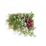 アートパネル 光触媒 観葉植物 | Botanical c.class 06