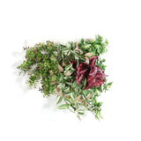 アートパネル 光触媒 観葉植物 | Botanical c.class 06