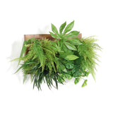 アートパネル 光触媒 観葉植物 | Botanical c.class 07