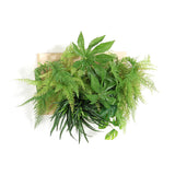 アートパネル 光触媒 観葉植物 | Botanical c.class 07